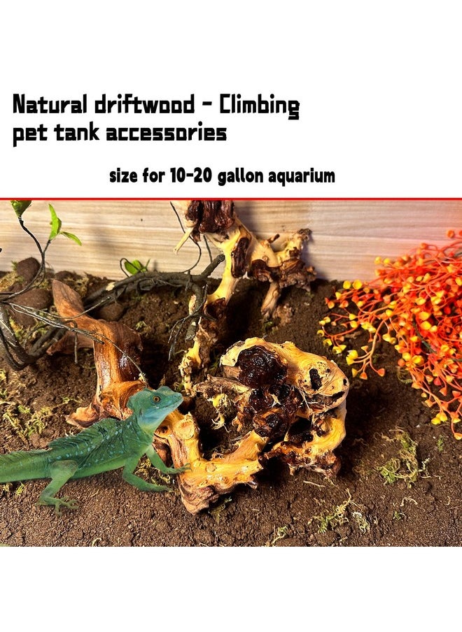 Hamiledyi Aquarium Driftwood Natural Trunk Driftwood Assorted Branches 812" Reptile Wood Decor Terrarium Ornament Fish Tank Decoration(3 Pcs)  - Image 4
