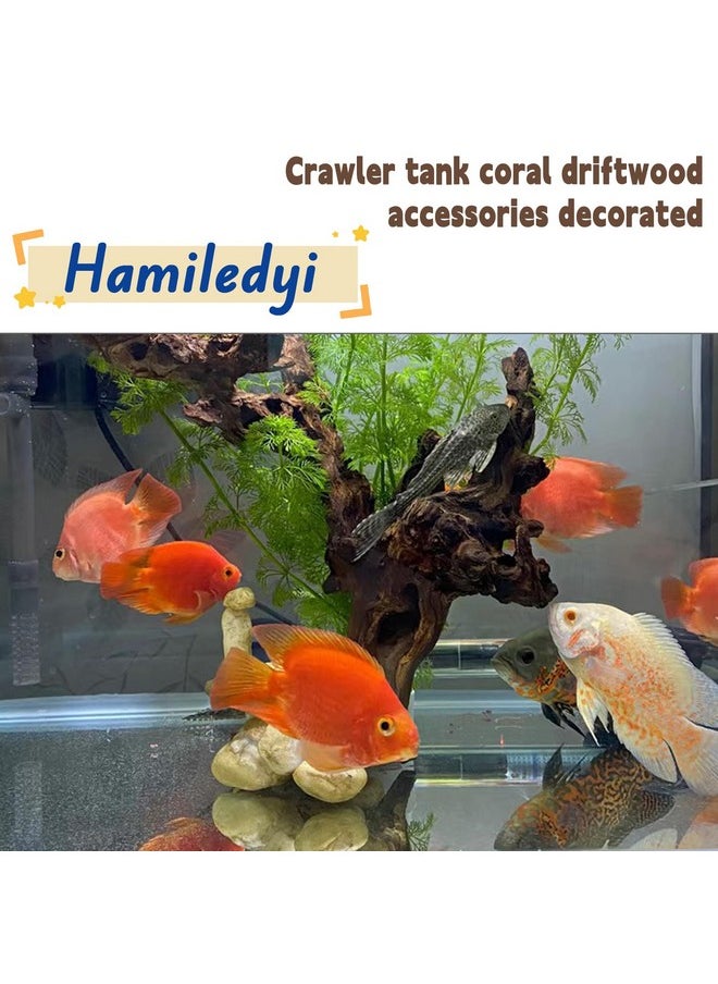 Hamiledyi Aquarium Driftwood Natural Trunk Driftwood Assorted Branches 812" Reptile Wood Decor Terrarium Ornament Fish Tank Decoration(3 Pcs)  - Image 3
