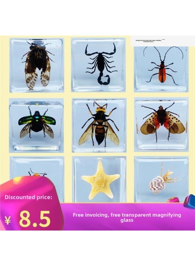 إسكدنيا عينة من الحشرات الحقيقية للحيوانات الصغيرة من الراتنج العقرب الفراشة الجعران العنكبوت النمل السلطعون الكريكيت الواقع العلمي.-المواصفات: رقم. 2 مجموعة زهور المحيط مع صندوق تخزين - اللون: قياسي - Image 2