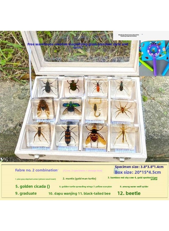 إسكدنيا عينة من الحشرات الحقيقية للحيوانات الصغيرة من الراتنج العقرب الفراشة الجعران العنكبوت النمل السلطعون الكريكيت الواقع العلمي.-المواصفات: رقم. 2 مجموعة زهور المحيط مع صندوق تخزين - اللون: قياسي - Image 4