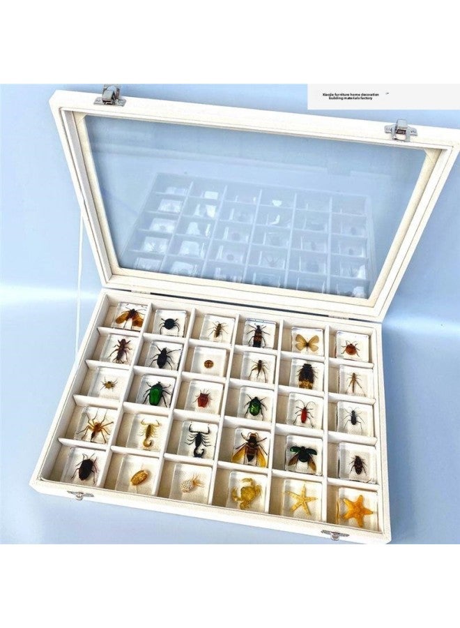 إسكدنيا عينة من الحشرات الحقيقية للحيوانات الصغيرة من الراتنج العقرب الفراشة الجعران العنكبوت النمل السلطعون الكريكيت الواقع العلمي.-المواصفات: رقم. 2 مجموعة زهور المحيط مع صندوق تخزين - اللون: قياسي - Image 5