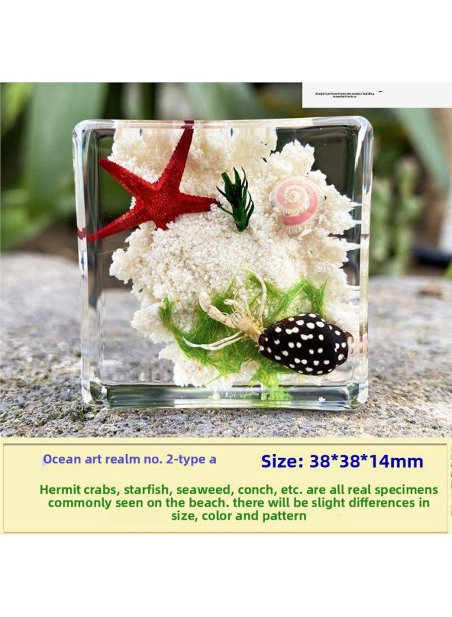 إسكدنيا عينة من الحشرات الحقيقية للحيوانات الصغيرة من الراتنج العقرب الفراشة الجعران العنكبوت النمل السلطعون الكريكيت الواقع العلمي.-المواصفات: رقم. 2 مجموعة زهور المحيط مع صندوق تخزين - اللون: قياسي - Image 3