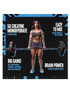 UNIVERSAL NUTRITION Animal Micronized Creatine Monohydrate Muscle Building & Recovery Unflavored 300g  - Image 4