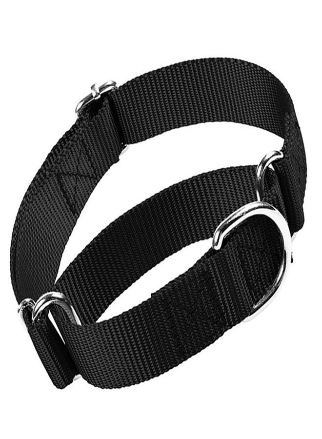 WeimoMonkey Black Martingale Dog Collar for Small Dogs, Escape Proof Dog Choke Collar No Pull Cinch Heavy Duty Dogs Training Collars Adjustable for S M L Breed Pet - Image 1