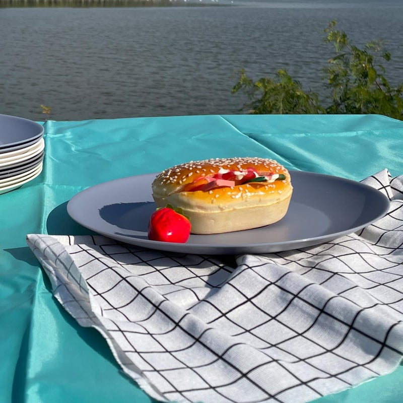 AOYITE Plastic Dinner Plates Reusable Unbreakable Salad Plates set of 12 BPA Free Microwave  Dishwasher Safe Party Plate for Any Occasion BBQ Travel Events - Image 2