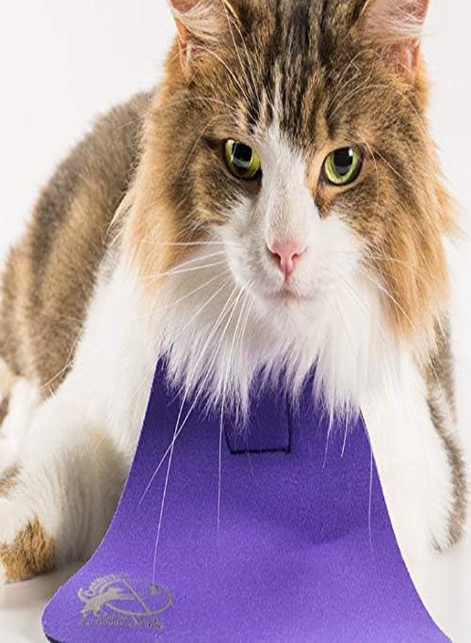 CatBib طوق كات بيب لحماية الطيور للقطط، يمنع القطط من اصطياد وقتل الطيور، مريلة ملونة مضادة للصيد لحماية الطيور وغيرها من الحيوانات البرية (كبير، بنفسجي) - Image 3
