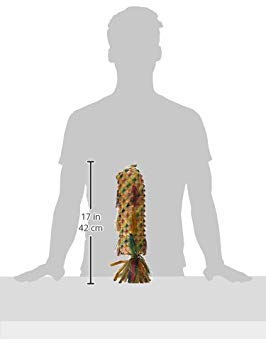 Planet Pleasures Spiked Pinata Sale Pinatas Natural Bird Toy, X-Large/17 - Image 2