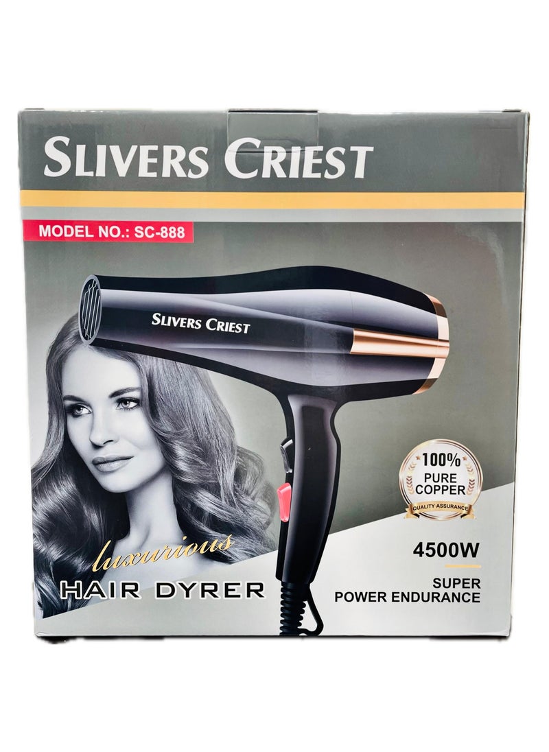 SILVER CREST 4500W Professional Hair Dryer and Straightener Set with High-Speed Brushed Motor, 220V Standard Plug, Black/Gold  - Image 1