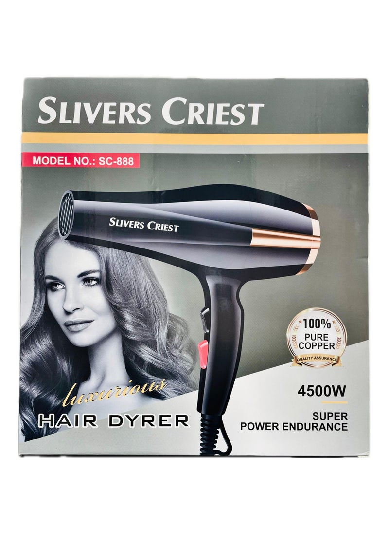 SILVER CREST 4500W Professional Hair Dryer and Straightener Set with High-Speed Brushed Motor, 220V Standard Plug, Black/Gold  - Image 2