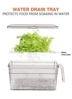 MIXDE Food Storage Boxes With Lids And Handle Large Plastic Kitchen Refrigerator Fridge Stackable Desk Cabinet Food Fruit Eggs Vegetables Drawer Storage Organizer Box Containers  - Image 4