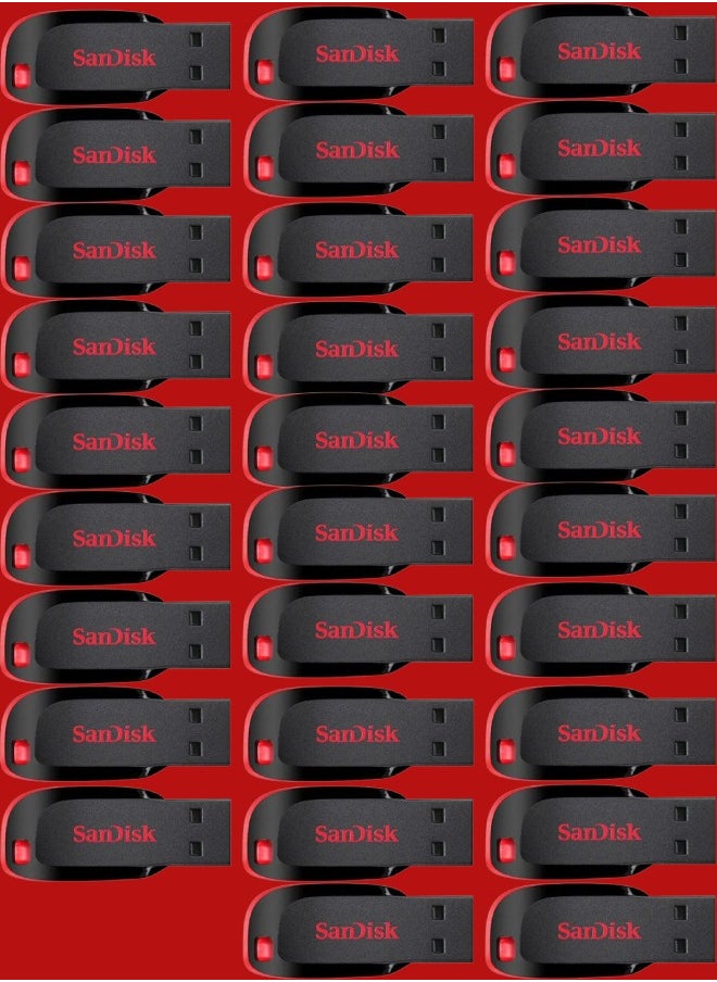 Sandisk 29 Pieces 16GB Cruzer Blade Usb Flash USB 2.0 