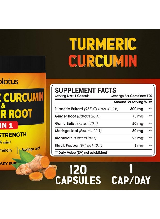 Zolotus 6 in 1 Turmeric Curcumin + Ginger Capsules, 95% Curcuminoids with Ginger, Garlic Bulb, Bromelain, Moringa, Black Pepper - 120 Capsules  - Image 2