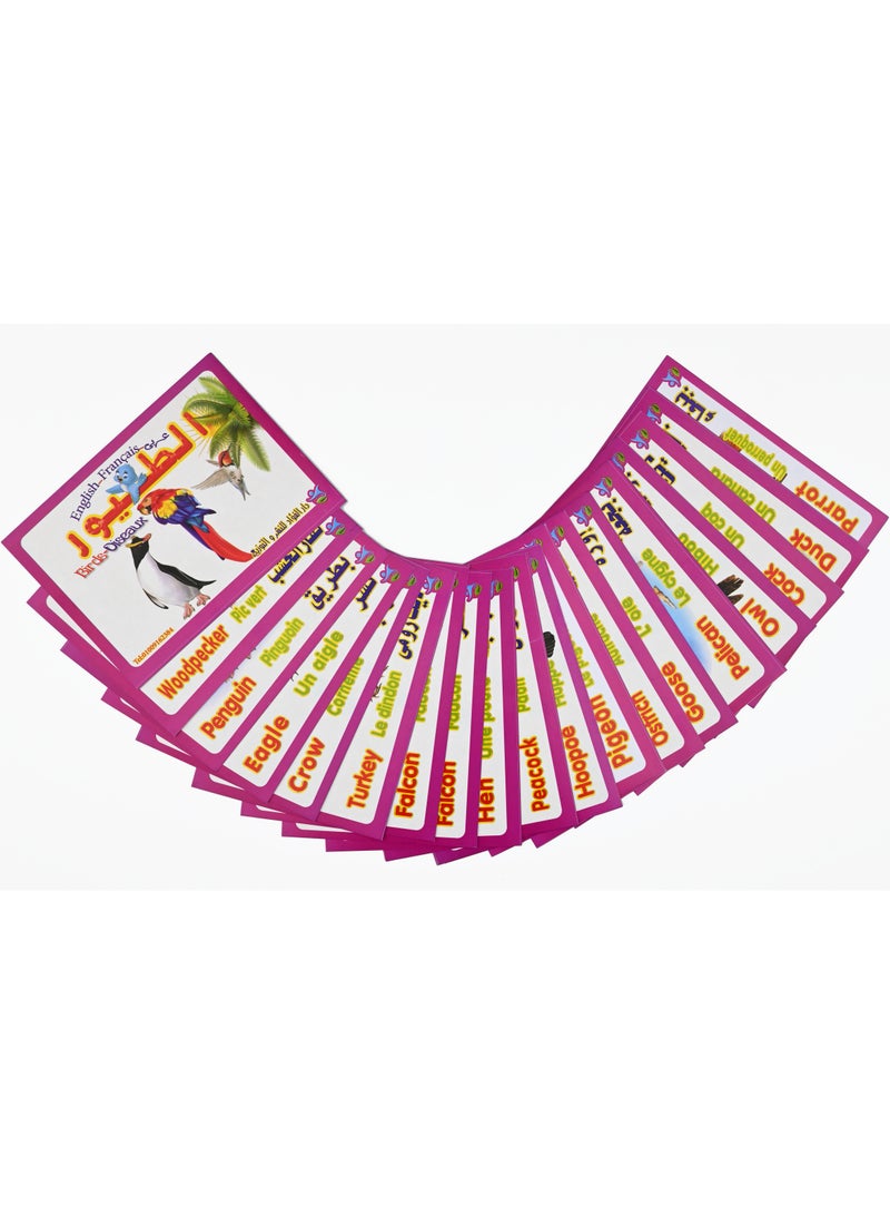 Bird Cards  - Image 4