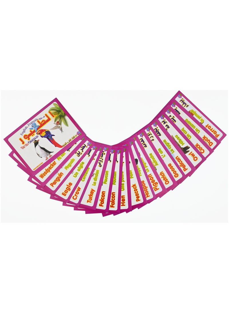 Bird Cards  - Image 1