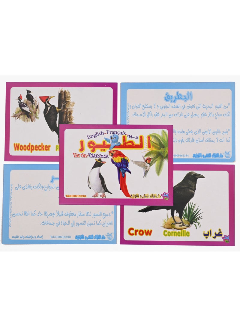 Bird Cards  - Image 2