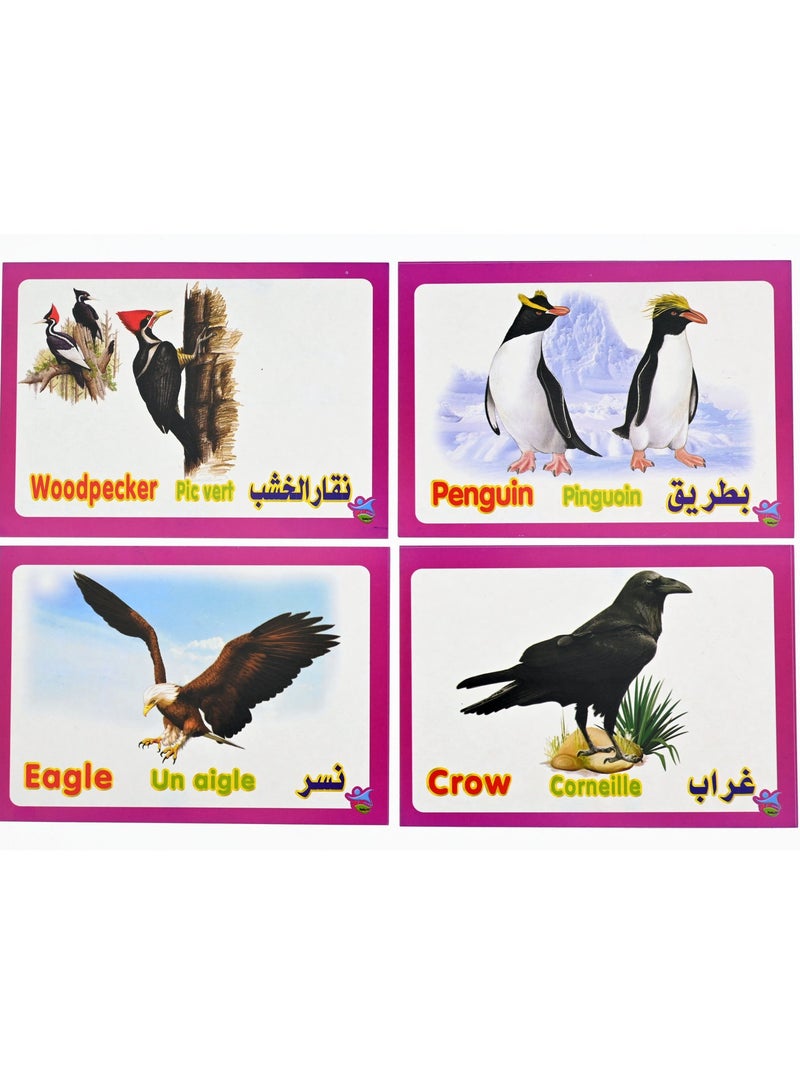 Bird Cards - Image 1