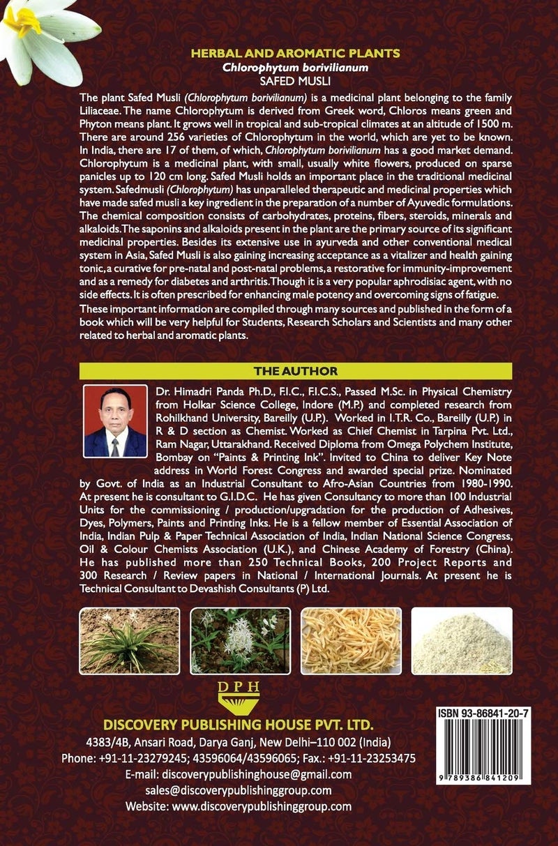 HERBAL AND AROMATIC PLANTS – 44. Chlorophytum borivilianum (Safed musli)  - Image 2