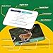 Briston Spanish Vocabulary Flash Cards for Kids and Adults 75 Bilingual Learning Cards with Pronunciation and Sentences Educational Study Tool for Classroom Homeschool Travel Language Practice by Briston - Image 4