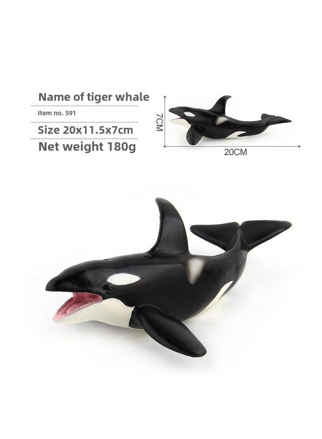 Simulation Whale Shark Tiger Shark Blue Whale Marine Biological Model Deep Sea Prehistoric Ancient Deng's Fish Trilobite Animal Model-Color:PL127-591 Killer Whale 180g  - Image 1
