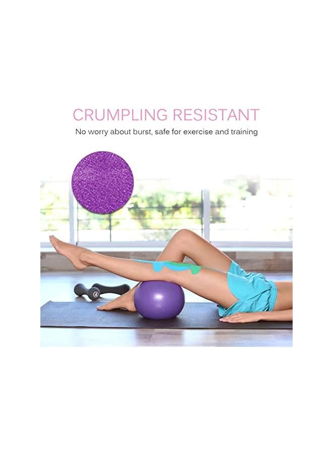 PROMASS 2 Pack Mini Exercise Barre Ball 9 Inch for Yoga,Pilates,Stability Therapy, Body Balance Physical Core Training Gym Anti Burst and Slip Resistant Balls with Inflatable Straw Purple Blue  - Image 2