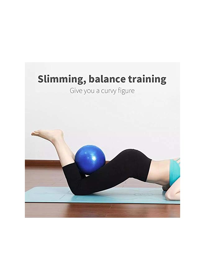 PROMASS 2 Pack Mini Exercise Barre Ball 9 Inch for Yoga,Pilates,Stability Therapy, Body Balance Physical Core Training Gym Anti Burst and Slip Resistant Balls with Inflatable Straw Purple Blue  - Image 3