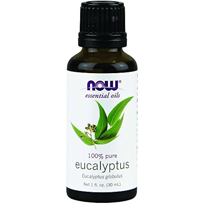 now , Essential Oils, Eucalyptus, 1 fl oz (30 ml) - Image 1