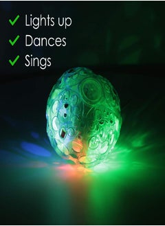 Haktoys Light Up Bouncing Ball (2-Pack), 4” Vibrating Crazy Fun Toy with Flashing Bright Lights, Music and Sound (Batteries Not Included)