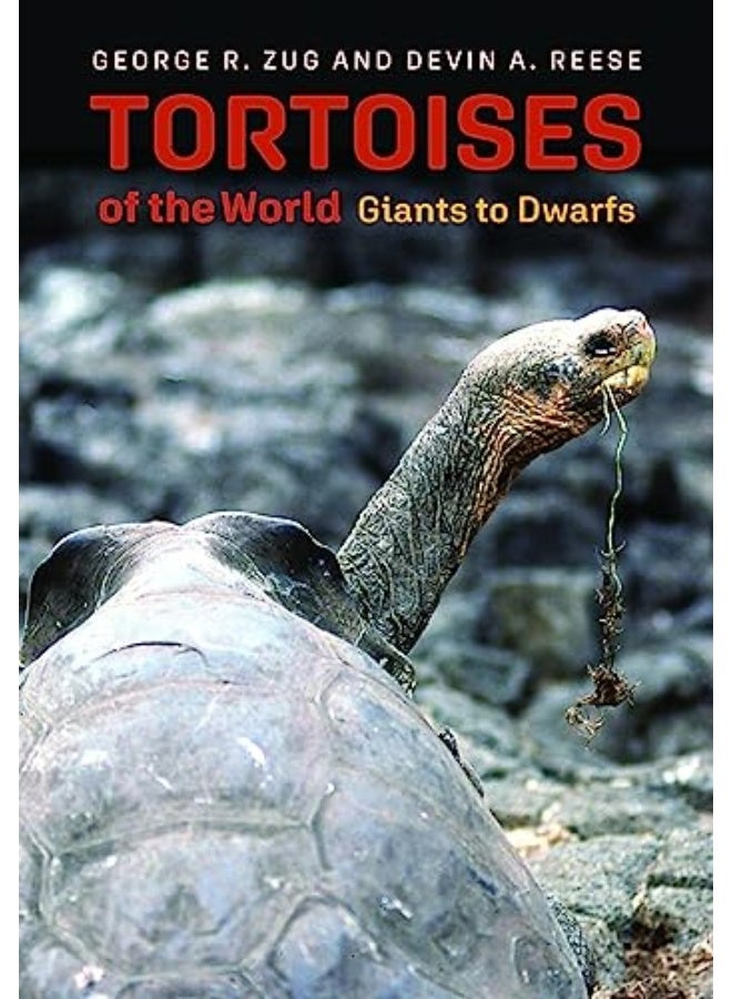 Tortoises Of The World Giants To Dwarfs 