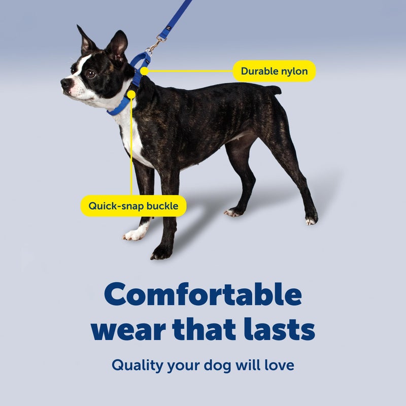 PetSafe Martingale Collar with Quick Snap Buckle - Humane Gentle Correction for Better Leash Control - Durable Nylon Material - Adjustable No-Slip Collar - Safe & Secure Walking Control - Image 4