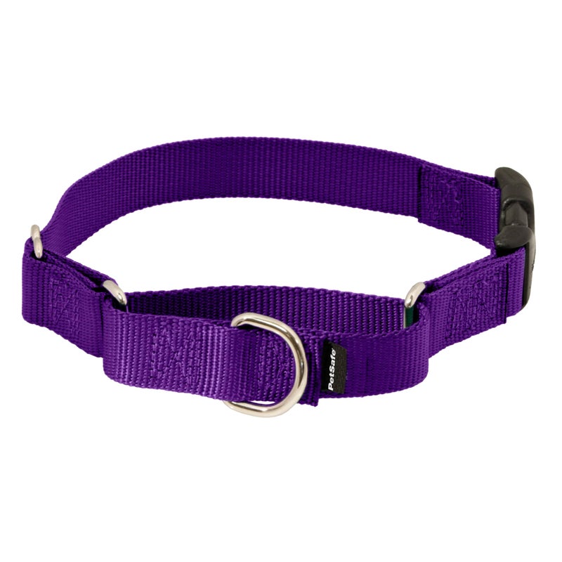 PetSafe Martingale Collar with Quick Snap Buckle - Humane Gentle Correction for Better Leash Control - Durable Nylon Material - Adjustable No-Slip Collar - Safe & Secure Walking Control - Image 1