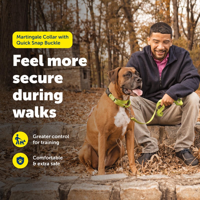 PetSafe Martingale Collar with Quick Snap Buckle - Humane Gentle Correction for Better Leash Control - Durable Nylon Material - Adjustable No-Slip Collar - Safe & Secure Walking Control - Image 2