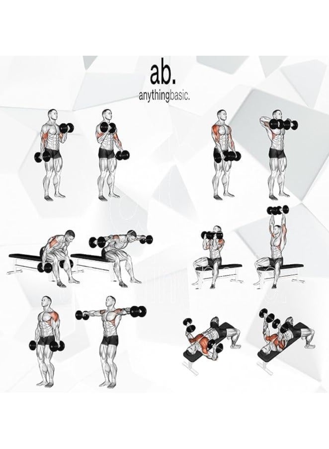 anythingbasic. Adjustable PVC Dumbbell Set of 8Kg (17.6LB) Includes 4 Plates * 2Kg (4.4LB) , 14'' Dumbbell Rod Pair & Nuts | Black | Material : Polyvinyl Chloride | Fitness Kit for Men and Women - Image 3