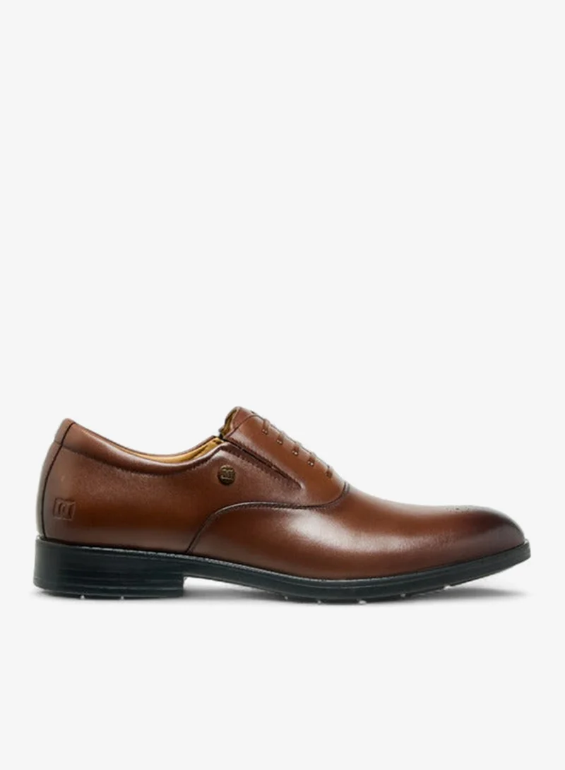 DUCHINI TAN Men Slip-On Leather Oxford Shoes for Men | Best Price UAE