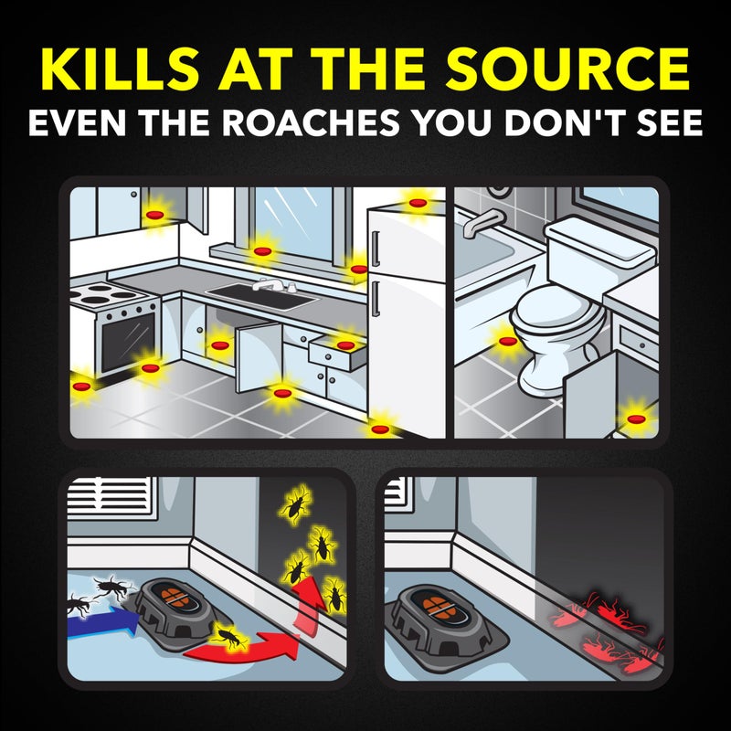 RAID طُعوم رايد مزدوجة التحكم للصرصور الكبير (8 قطع (عبوة من 1)) - Image 3