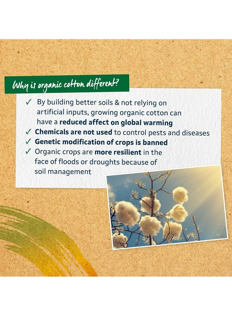 Lil-Lets Organic Super Non-Applicator Tampons - Image 5