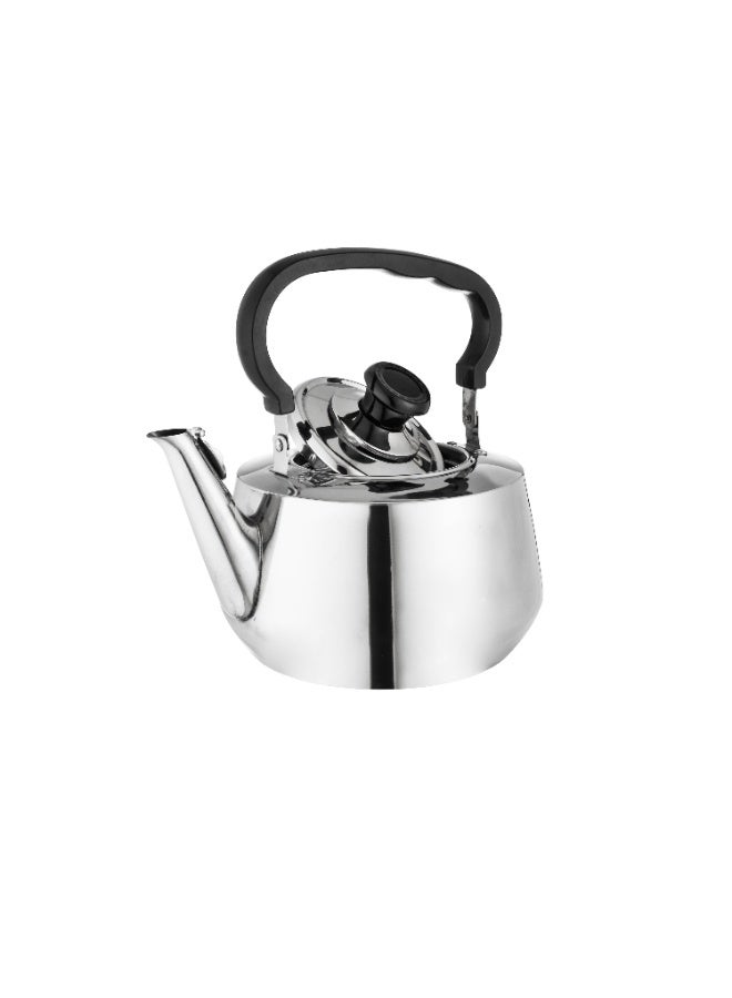 5L Heat Resistant Stainless Steel Teapot - Image 2