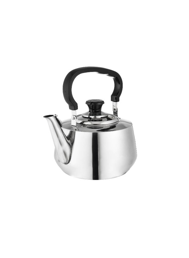 5L Heat Resistant Stainless Steel Teapot - Image 3