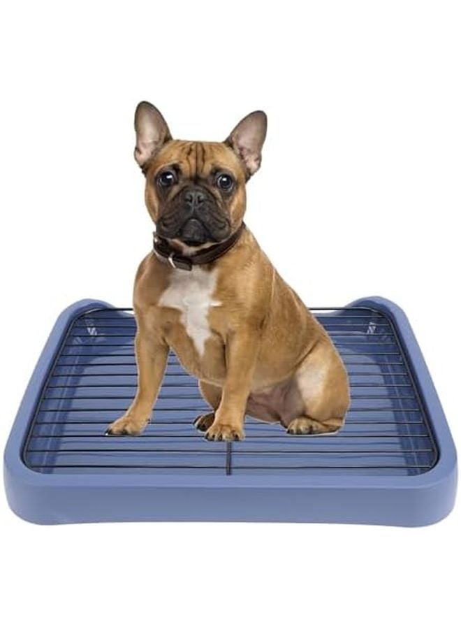 صينية تواليت للكلاب متوسطة الحجم باللون الأزرق من AYNEFY مع شبكة قابلة للإزالة ومجرفة للكلاب الصغيرة والمتوسطة - Image 2