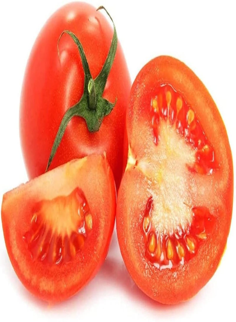 GGOOT 100Stück Tomatensamen für das Pflanzen im Freien auf dem Bauernhof einfache Kultivierung dekorativer Garten natürliche Zierpflanze geliebt von Menschen pflegeleichte Gemüsesorten - Image 2