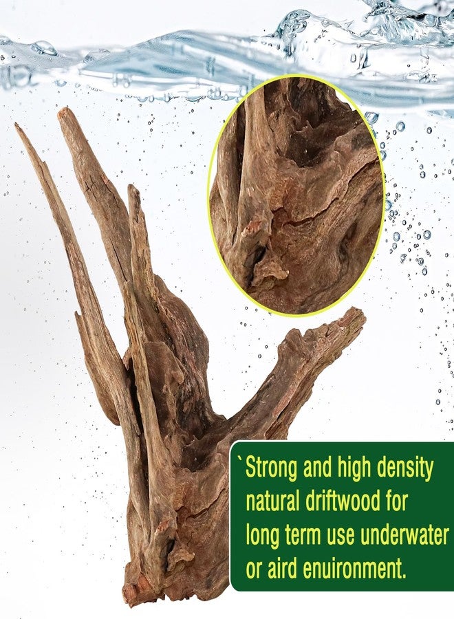 Packsy 4pcs Natural Aquarium Driftwood Decoration,Perfect for Aquascaping,Fish Tanks and Reptile Habitats,Enhances Underwater Aesthetics and Provides Hiding Spots for Fish(4pcs/4-6inches) - Image 3