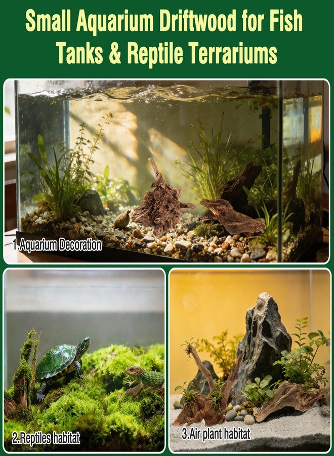 Packsy 4pcs Natural Aquarium Driftwood Decoration,Perfect for Aquascaping,Fish Tanks and Reptile Habitats,Enhances Underwater Aesthetics and Provides Hiding Spots for Fish(4pcs/4-6inches) - Image 5