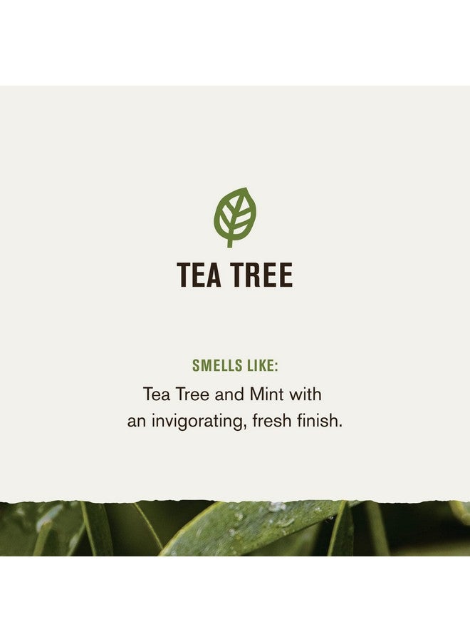 Every Man Jack 2-In-1 Tea Tree + Cedar Shampoo + Conditioner - Thicken, Cleanse, And Hydrate Hair With Coconut, Aloe, Tea Tree Oil - Naturally Derived And No Harmful Chemicals - 24Oz -1 Bottle  - Image 3