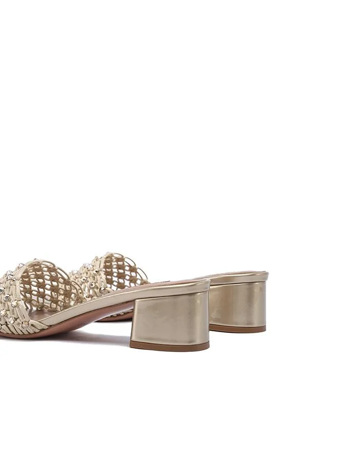 Nicoli  SERIN for Women | Best Price UAE