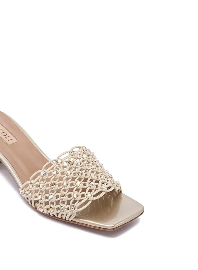 Nicoli  SERIN for Women | Best Price UAE