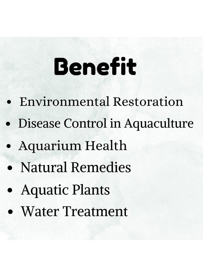 Generic Aquatic Remedies 4 Combo Pack Plant Fertilizer - (Plant Food + Health Formula - (120Ml), Microlife S2, K++ (100Ml)) For Aquarium Medicine With Free Key Ring  - Image 3