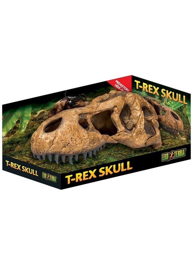 Exo Terra Exo Terra T-Rex Skull Terrarium Decor  - Image 1