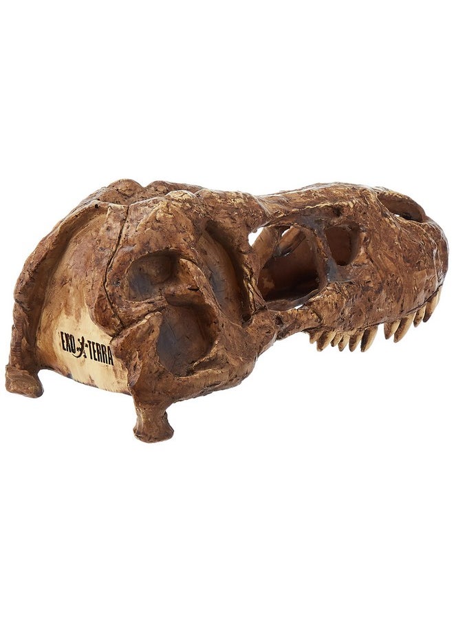 Exo Terra Exo Terra T-Rex Skull Terrarium Decor  - Image 2