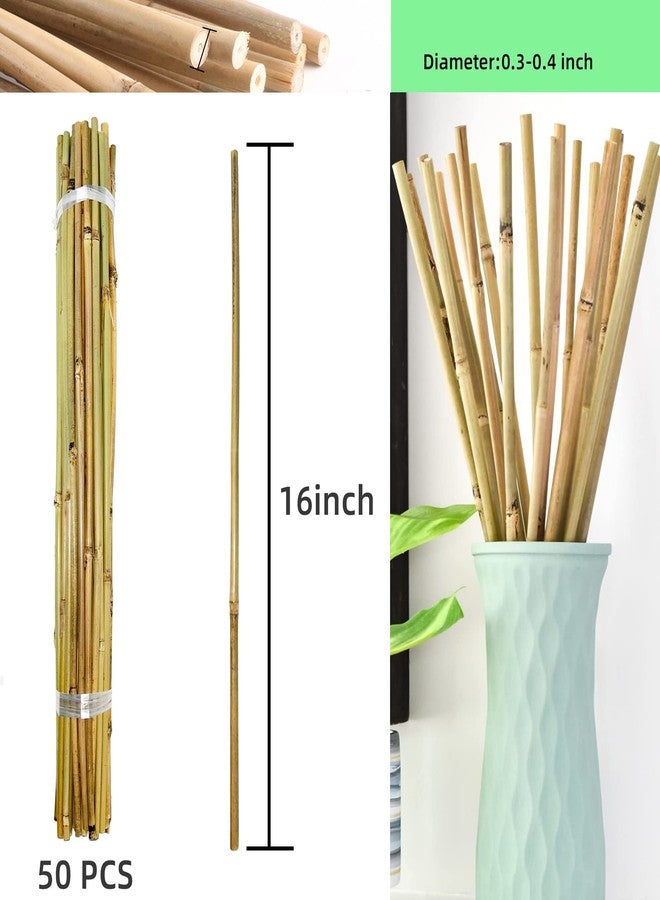 Anothera 50Pcs Garden Stakes, 0.32”/16 Inch Bamboo Sticks，Natural Plant Stakes for Indoor and Outdoor Plants，Poles for Tomatoes, Beans, Potted Plants - Image 2