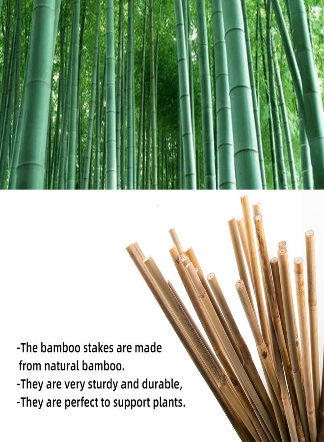 Anothera 50Pcs Garden Stakes, 0.32”/16 Inch Bamboo Sticks，Natural Plant Stakes for Indoor and Outdoor Plants，Poles for Tomatoes, Beans, Potted Plants - Image 3