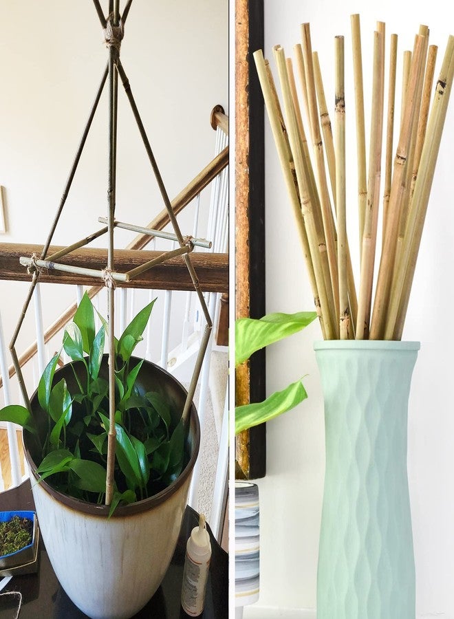 Anothera 50Pcs Garden Stakes, 0.32”/16 Inch Bamboo Sticks，Natural Plant Stakes for Indoor and Outdoor Plants，Poles for Tomatoes, Beans, Potted Plants - Image 5